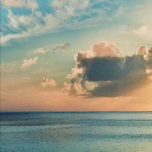 Meet your Posher, Alexia